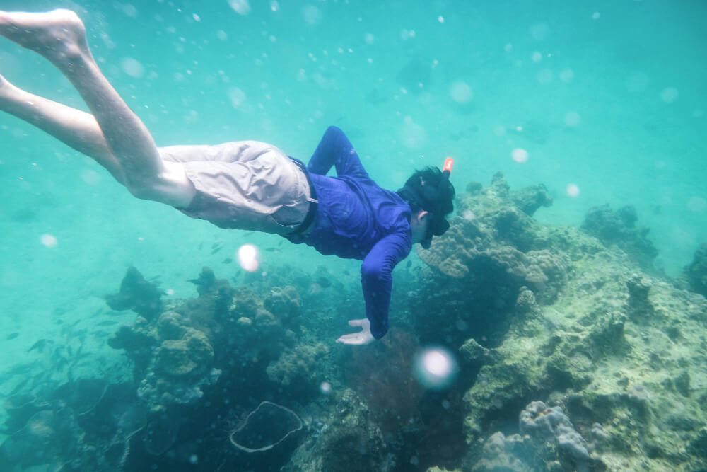 Nurkowanie na rafie koralowej  - Wycieczki fakultatywne